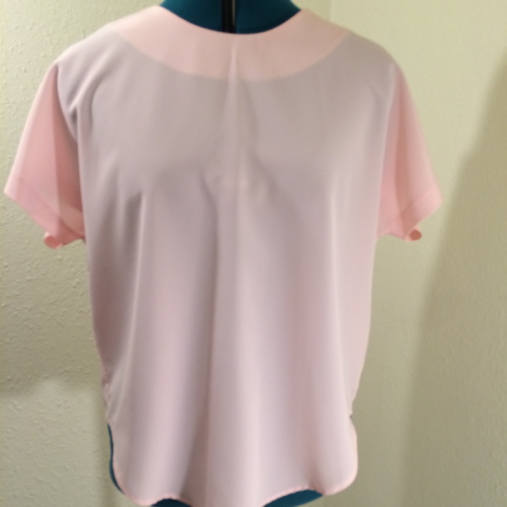 Dressy Sz 12 pink blouse (200)